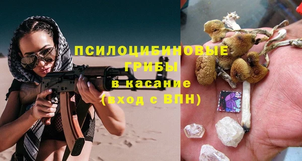 таблы Бородино