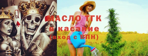 таблы Бородино