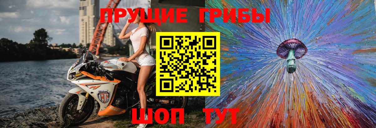 Псилоцибиновые грибы Psilocybe  Вход с VPN  Выборг  Галлюциногенные грибы Psilocybe 