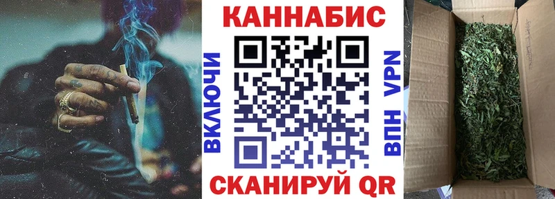 mega зеркало  где найти   Выборг  Конопля SATIVA & INDICA 